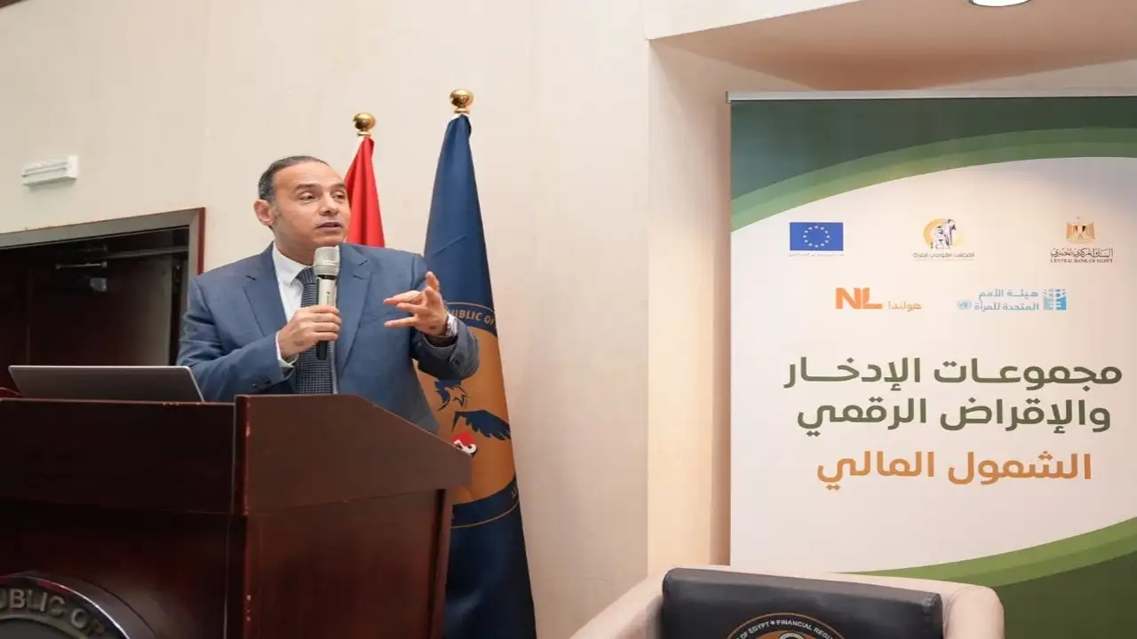 1.8 مليون سيدة يقمن بدور رئيسي في تمويل المشروعات الصغيرة بمصر